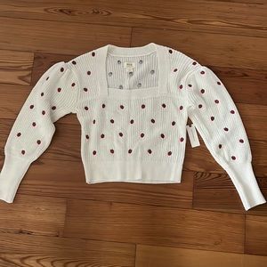 Anthropologie Strawberry Sweater, Size XS